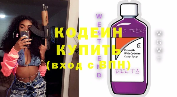 амф Вяземский