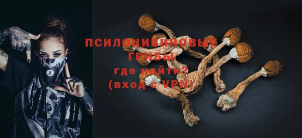 амф Вяземский