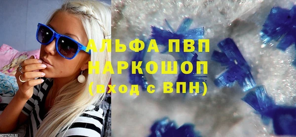 амф Вяземский