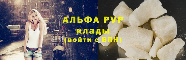 амф Вяземский